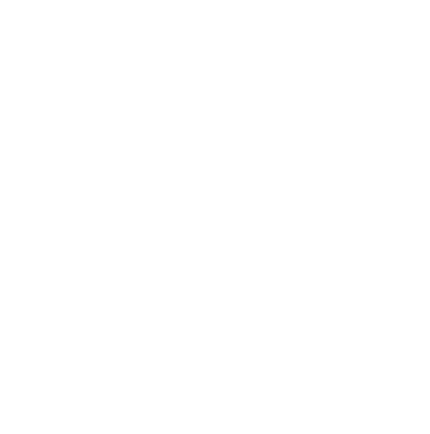 Kiev Polytechnical